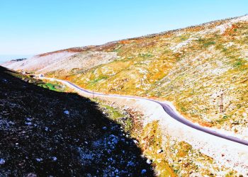 Syria’s forests are vanishing