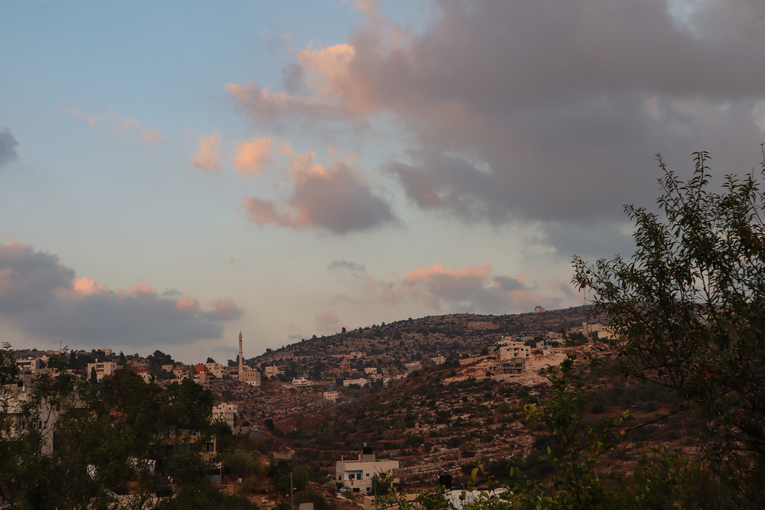 A Hair Story: Palestinian Women’s Resilience, Resistance, and Renewal