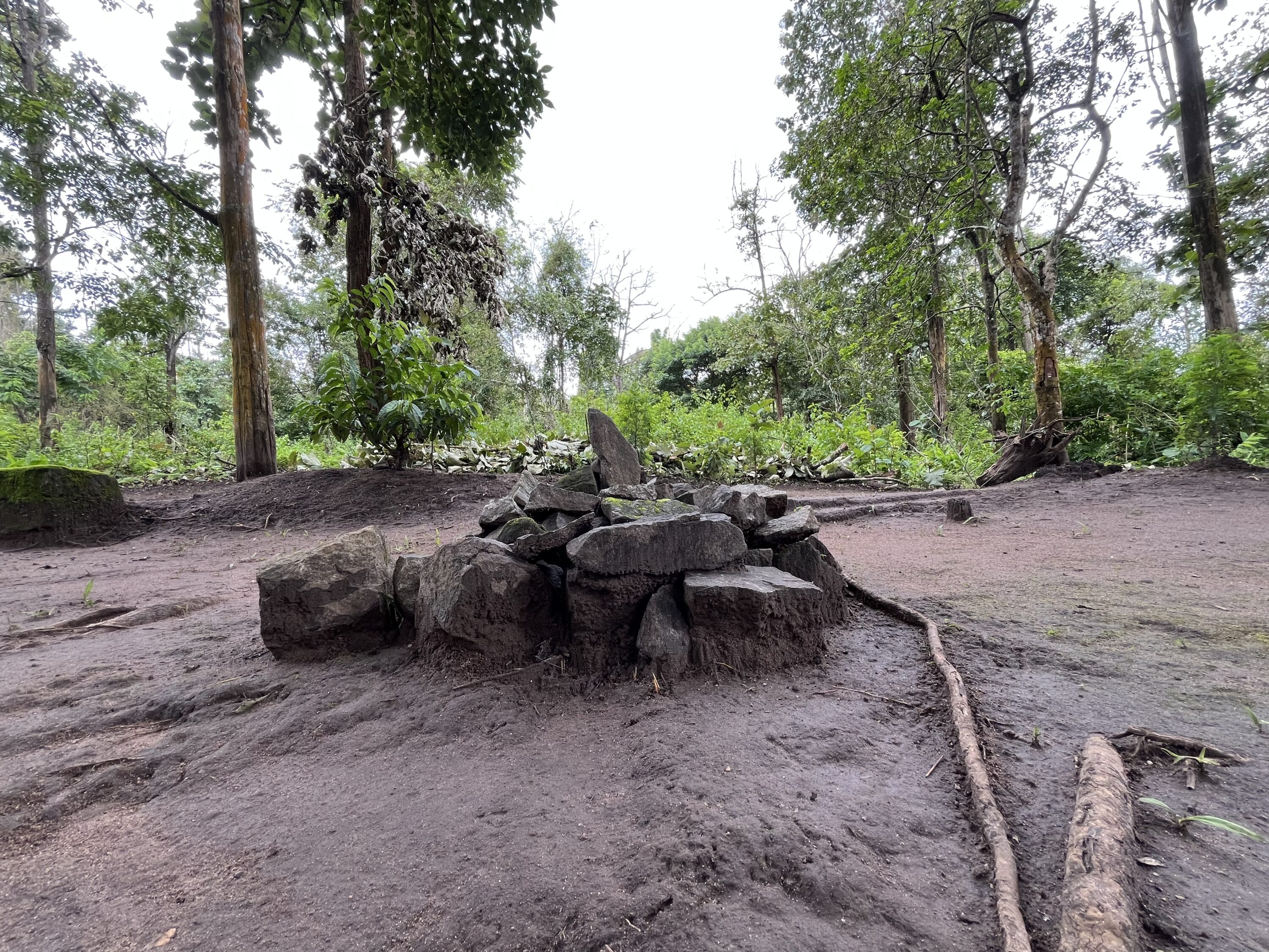 Jenu Kuruba Tribes Fight for Ancestral Land and Forest Rights in India