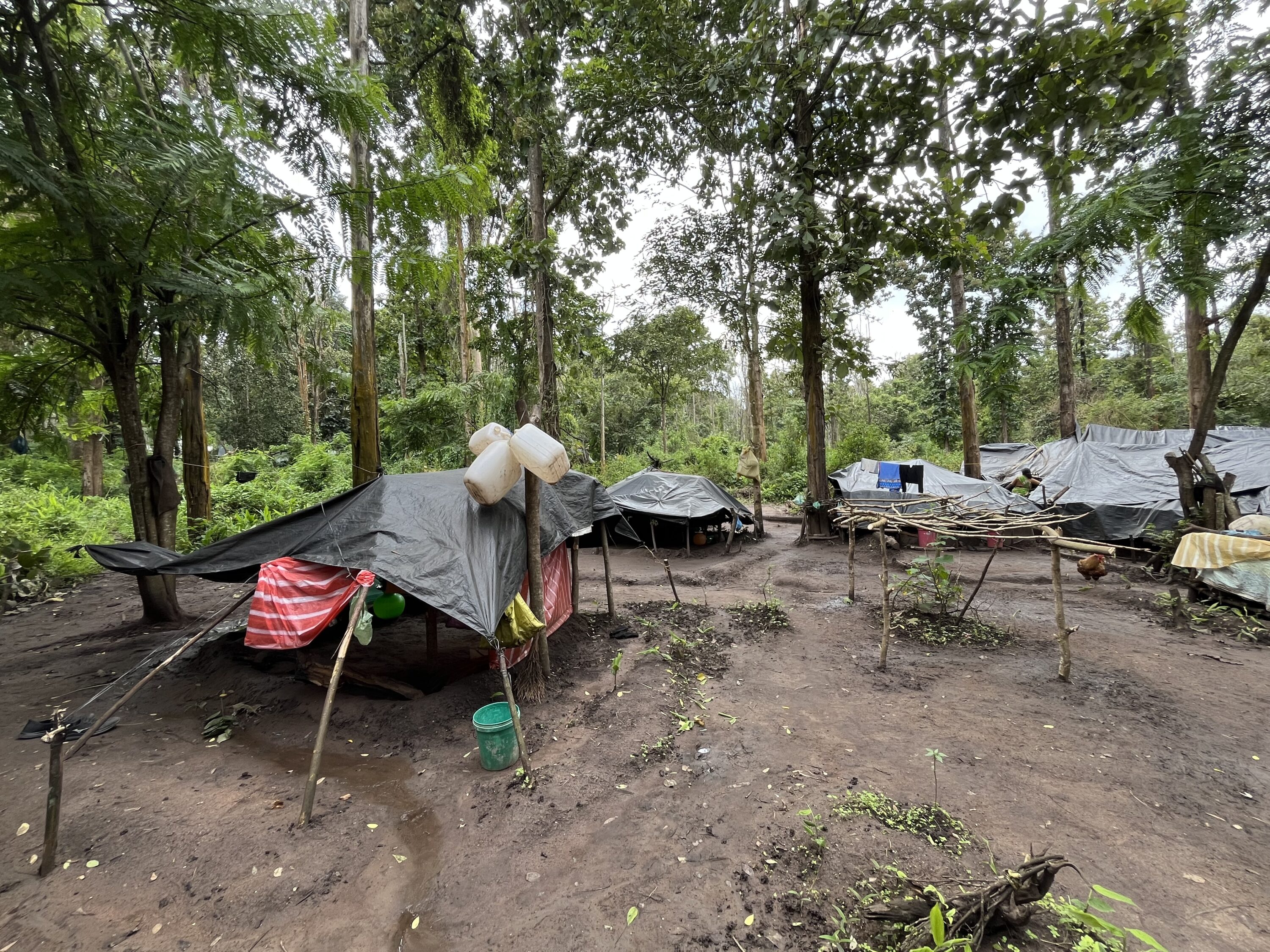 Jenu Kuruba Tribes Fight for Ancestral Land and Forest Rights in India