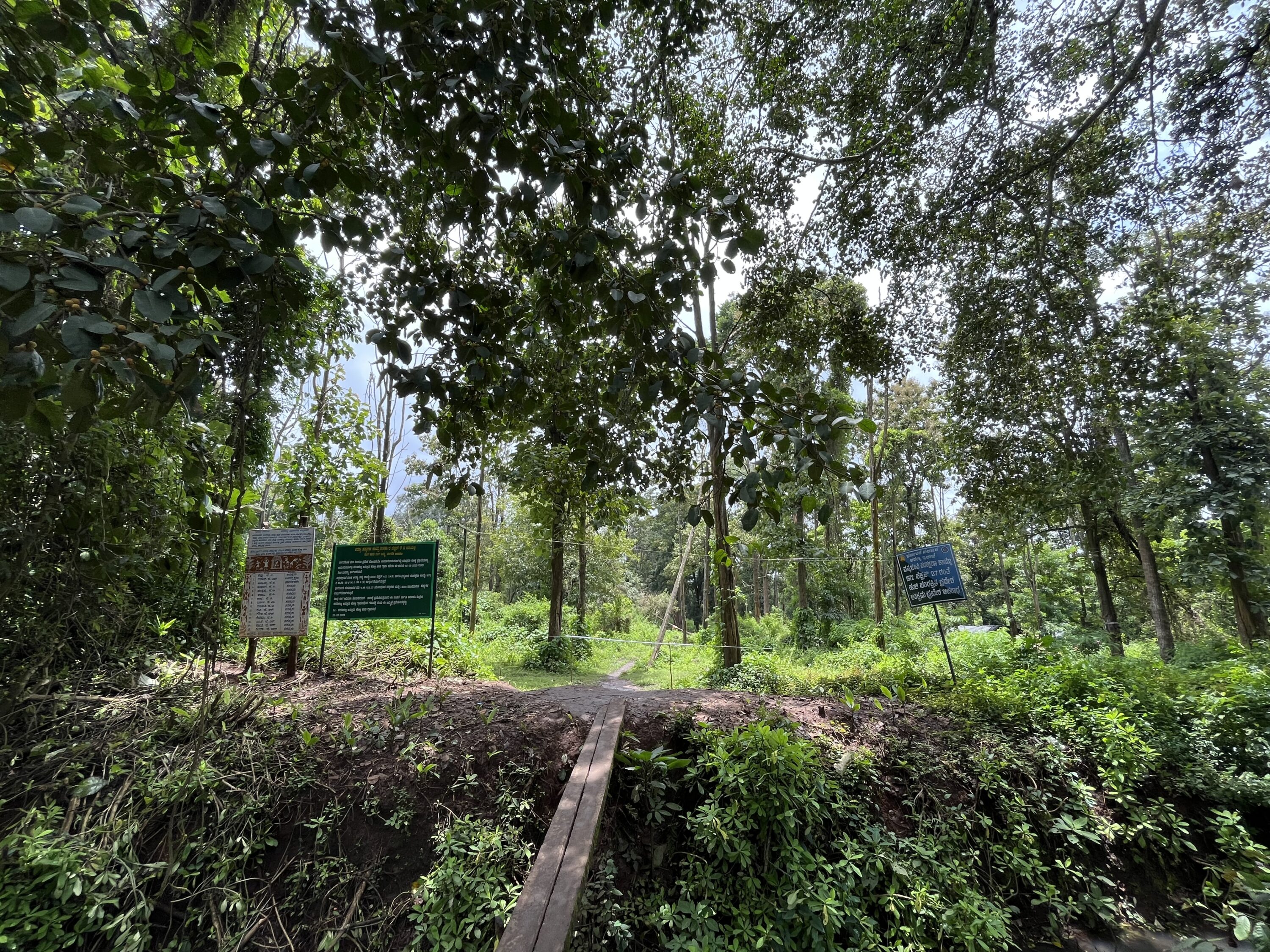 Jenu Kuruba Tribes Fight for Ancestral Land and Forest Rights in India