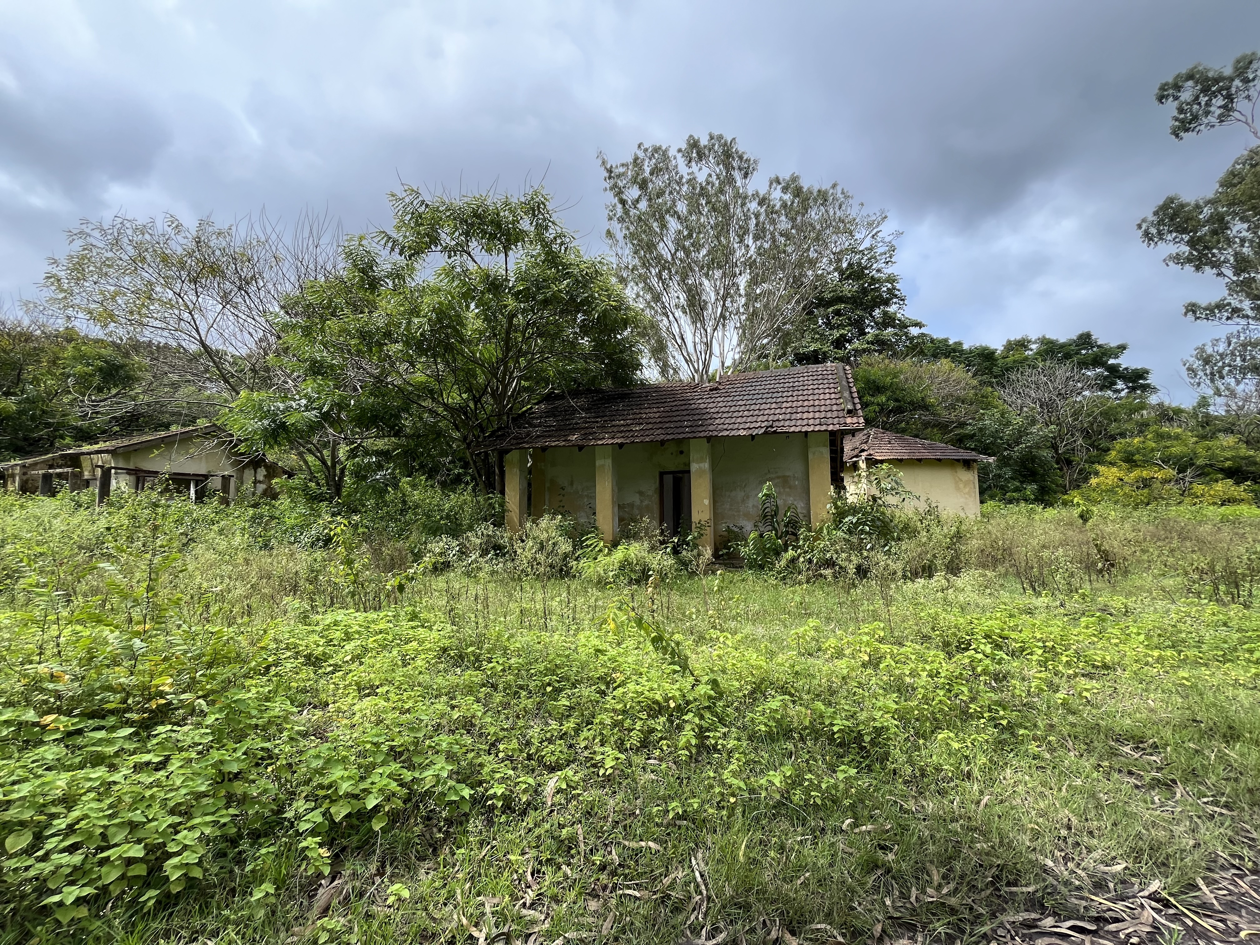 Jenu Kuruba Tribes Fight for Ancestral Land and Forest Rights in India