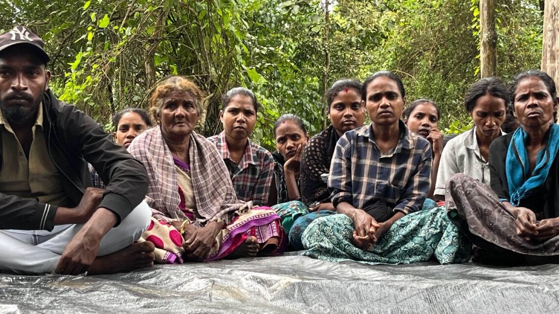 Jenu Kuruba Tribes Fight for Ancestral Land and Forest Rights in India