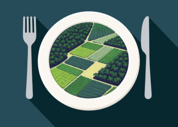 Mexico, oil palms, deforestation, Maps
